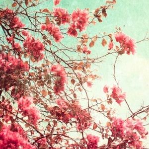 Meet your Posher, Alondra